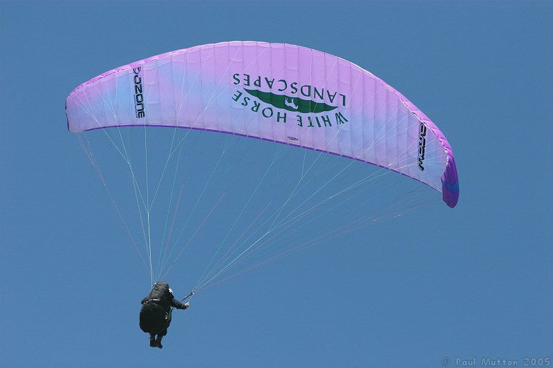 Westbury Horse Flying img 3333