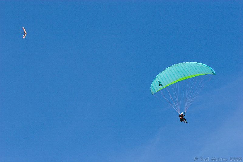 Westbury Horse Flying img 3389