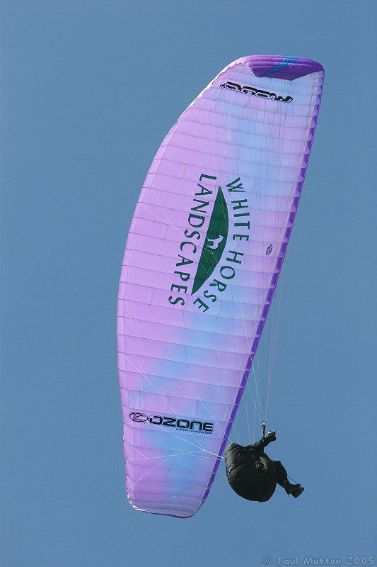 Westbury Horse Flying img 3394
