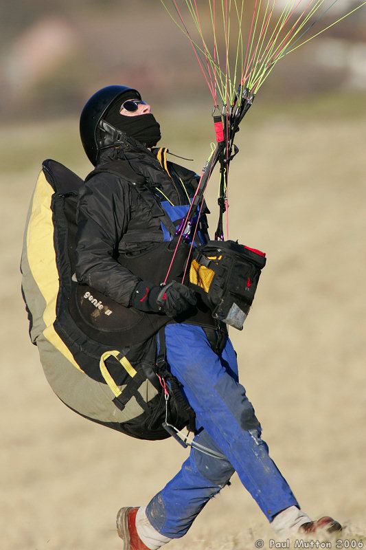 Paraglider getting it up T2E8207