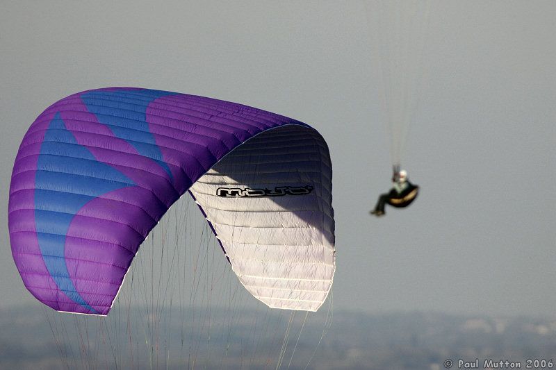 Two Paragliders T2E8349