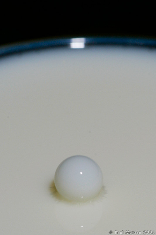 Milk Droplet Splash A8V9039