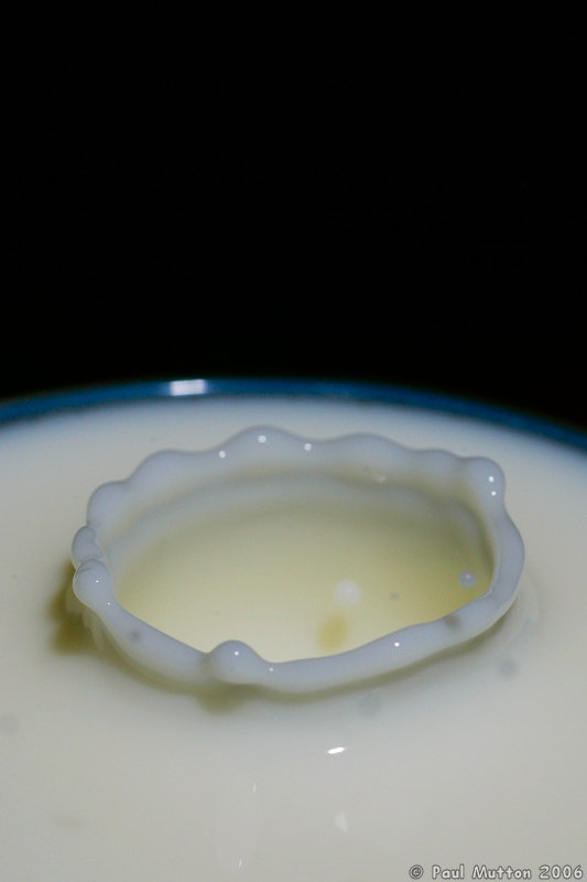 Milk Droplet Splash A8V9040
