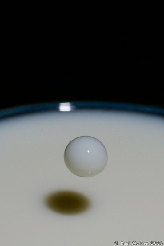 Milk Droplet Splash A8V9043