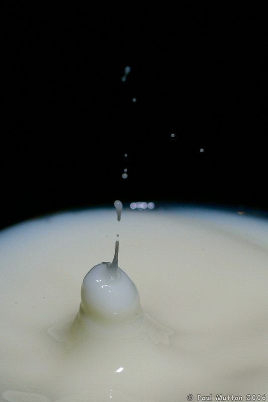Milk Droplet Splash A8V9063
