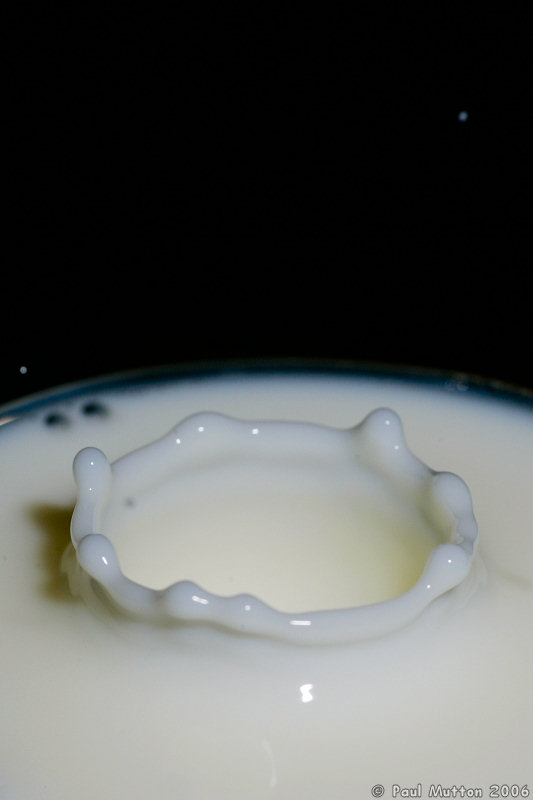 Milk Droplet Splash A8V9075
