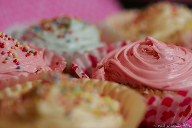 Assorted Cupcakes HA8V7551