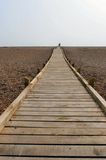 Dungeness Boardwalk