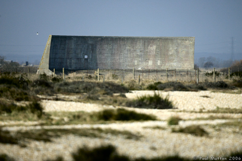 Dungeness Large Sound Mirror T2E8363