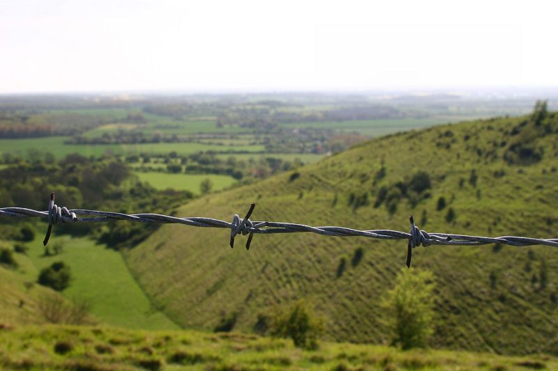 Barbed wire