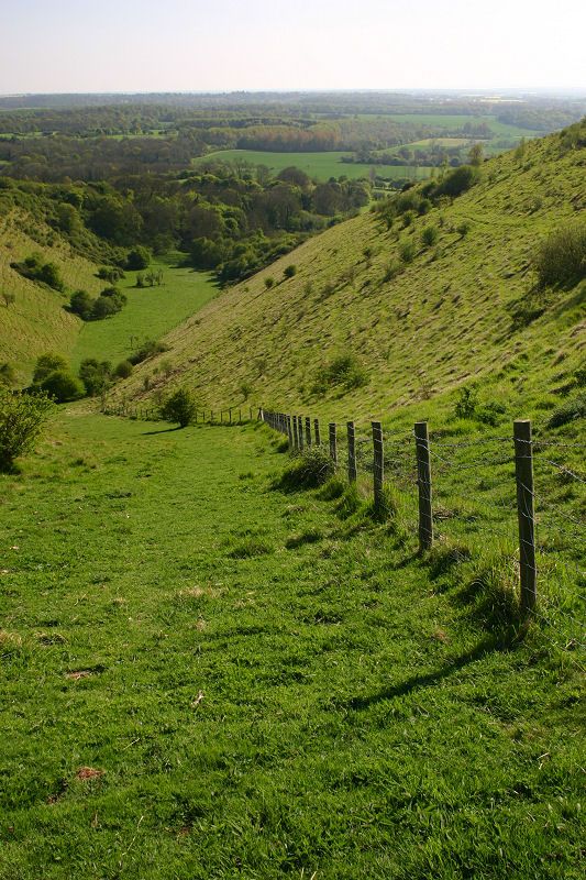 Downhill fence