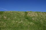 Grass and deep blue sky