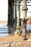 Hasting Pier Support Legs Barnacles Tide Out IMG 2998