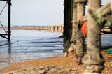 Hasting Pier Tide Coming In IMG 3008