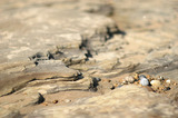 Layered Rocks Pebbles Sand IMG 3000