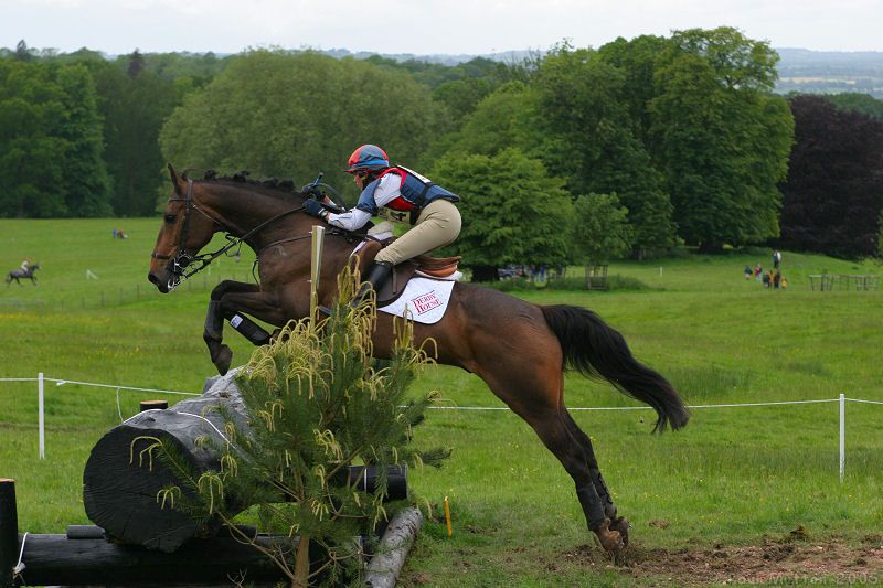 Longleat Horse Trials action shot 5