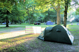 New Forest Camp Site Hollands Wood Tent Trees IMG 3428