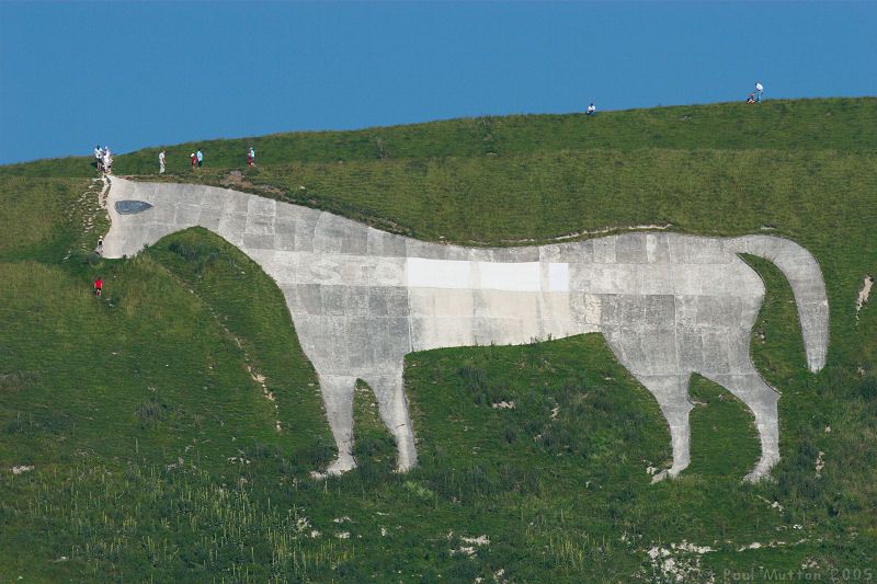 White Horse of Westbury IMG 3200