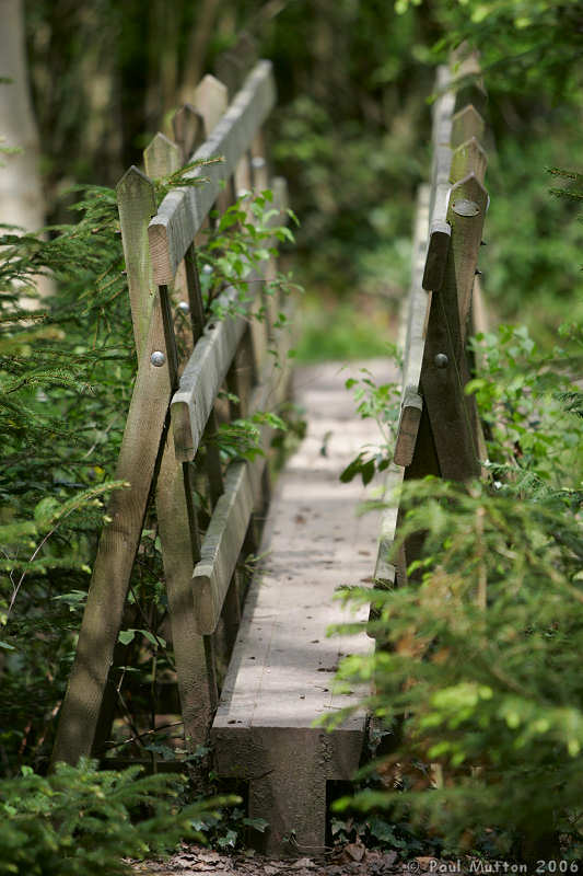 Narrow Wooden Bridge A8V9914